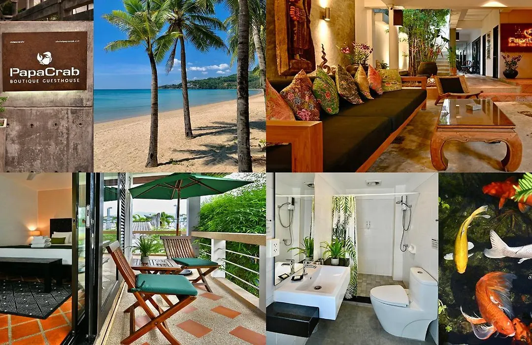PapaCrab Boutique Guesthouse-1